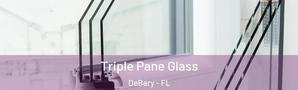 Triple Pane Glass DeBary - FL