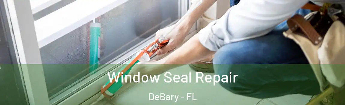Window Seal Repair DeBary - FL